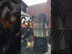 12 মডিউল একক হেলিক্যাল ট্রান্সমিশন গিয়ার 76 গিয়ারবক্সের জন্য দাঁত