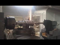 ৩৯৫ মিমি টিপ ব্যাসার্ধের কৃমি শ্যাফ্ট এবং 0.2 কেজি ওজনের কৃমি গিয়ার